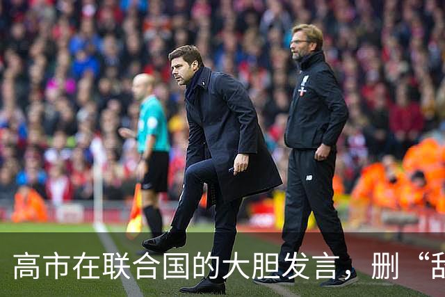 高市在联合国的大胆发言，删“敌国条款”是玩火？